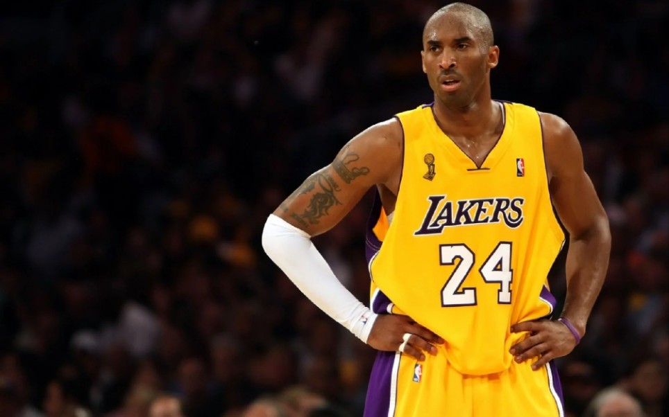 内只补充了 内只补充了